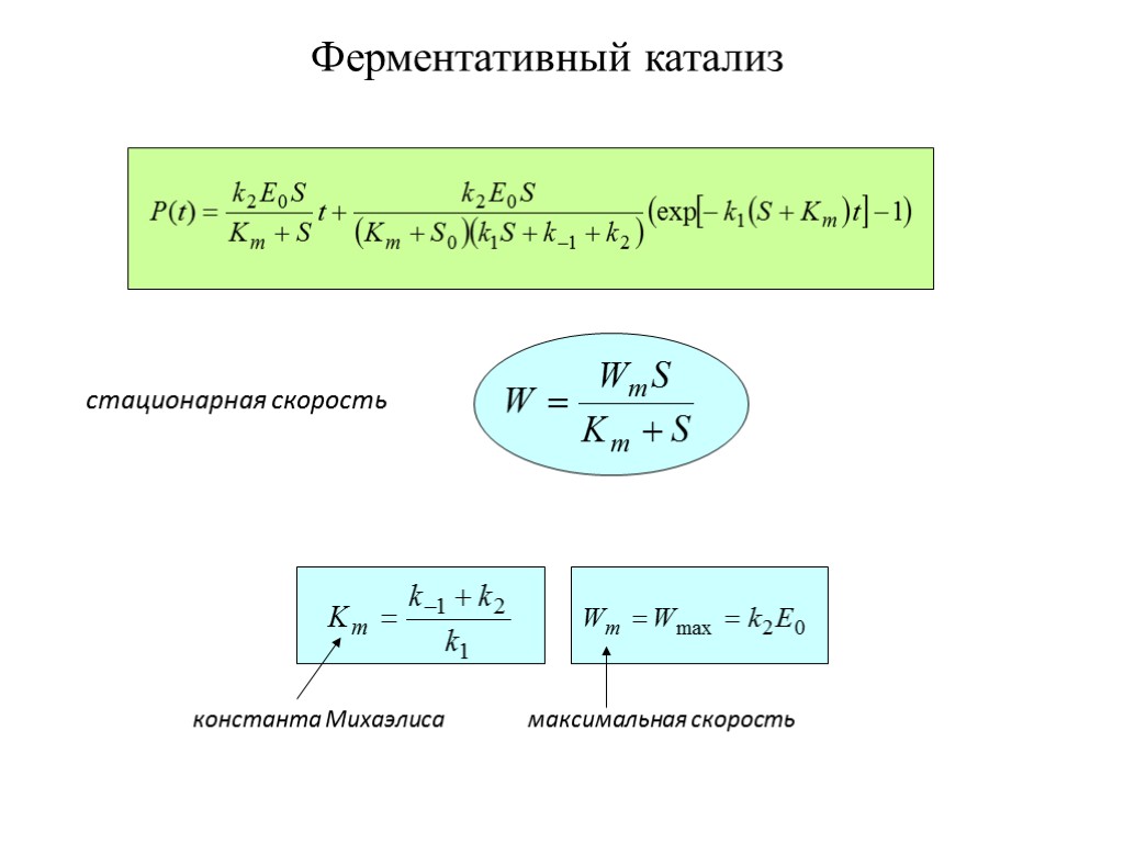 константа Михаэлиса максимальная скорость стационарная скорость Ферментативный катализ